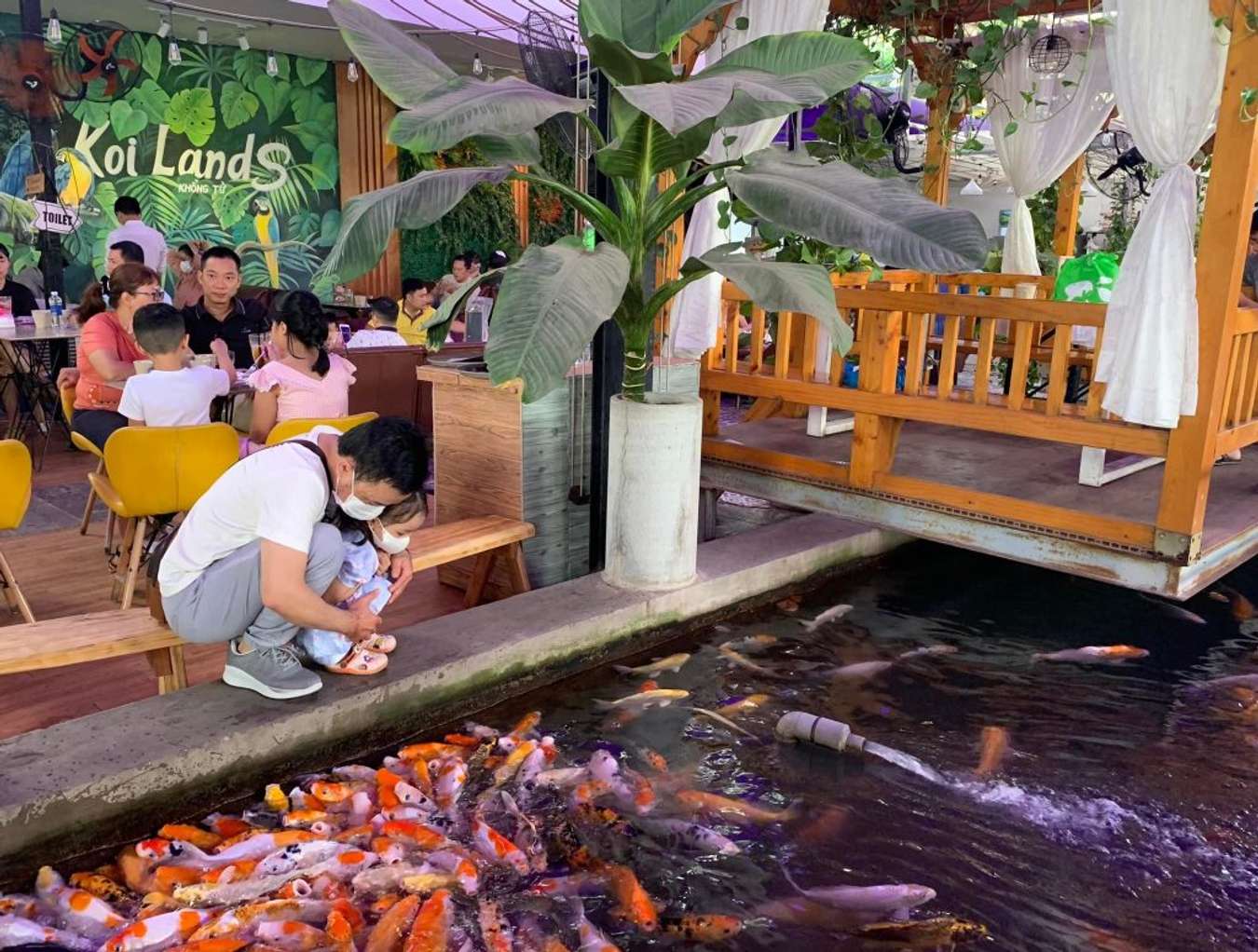 cafe cá koi Thủ Đức