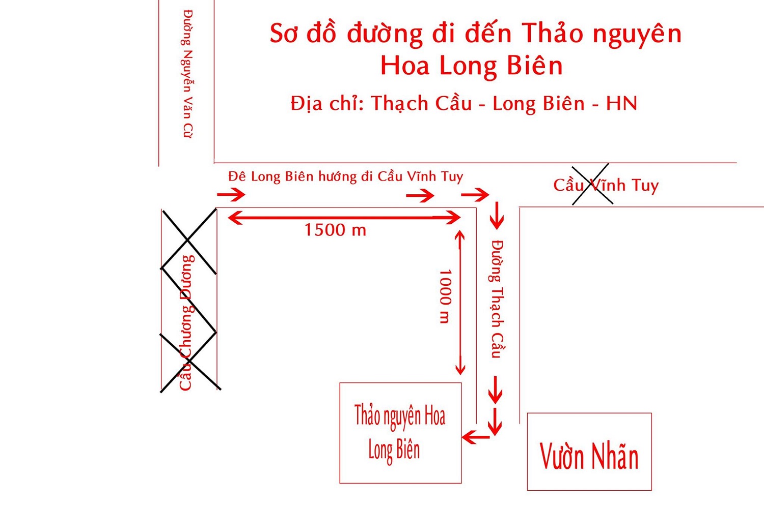 Lạc giữa thảo nguyên hoa Long Biên ngập tràn sắc màu 5
