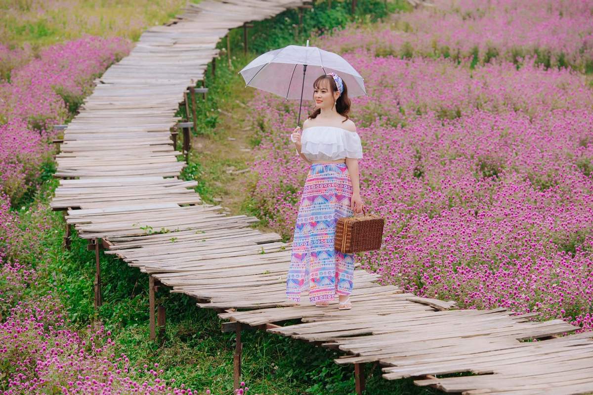 Lạc giữa thảo nguyên hoa Long Biên ngập tràn sắc màu 6