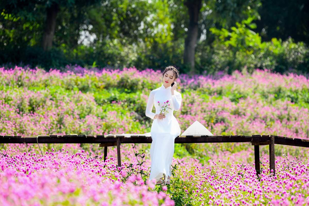 Lạc giữa thảo nguyên hoa Long Biên ngập tràn sắc màu 8