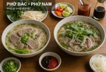 Phở Bắc và phở Nam khác gì? Gợi ý quán phở nên thử